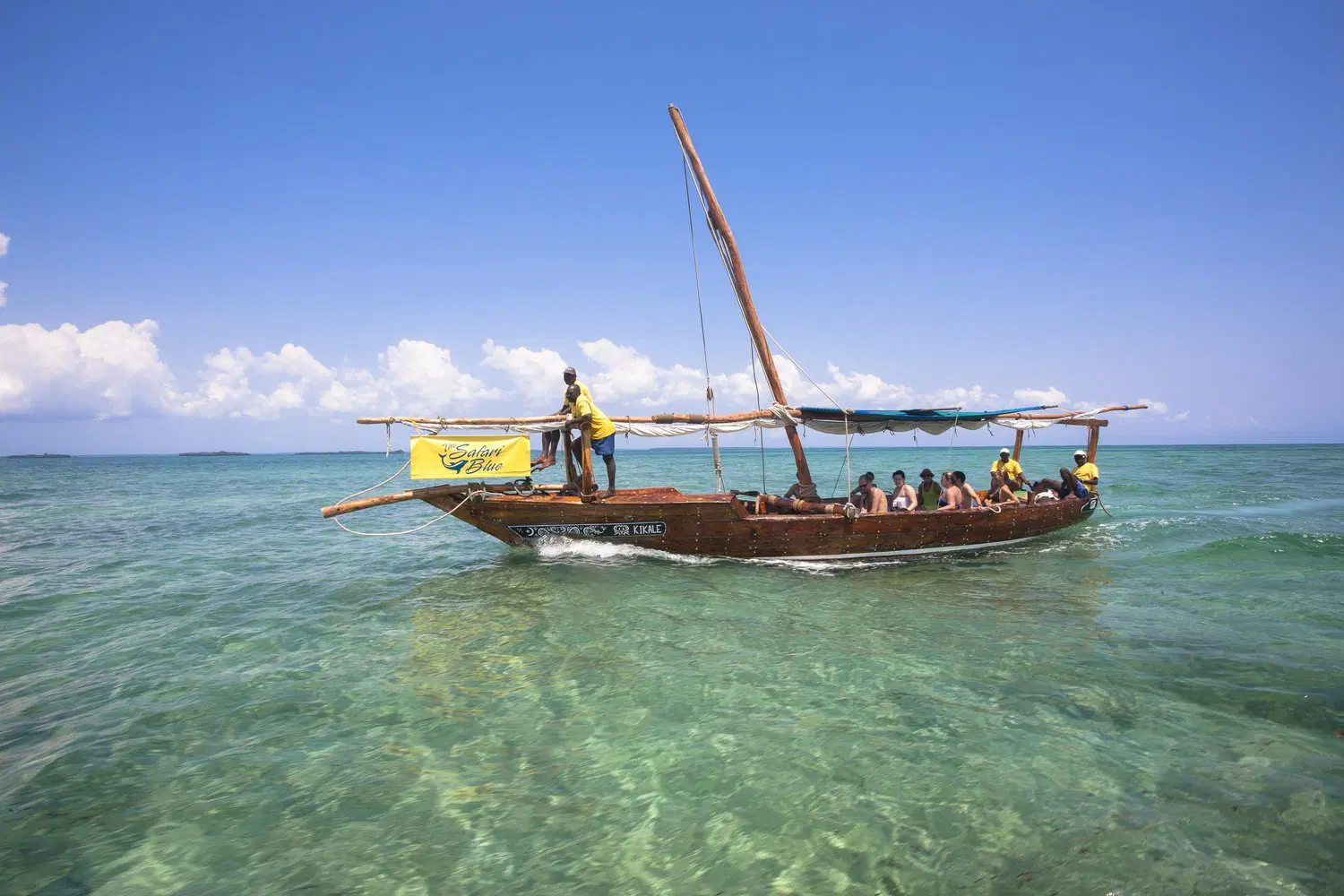 safari blue zanzibar 159.webp